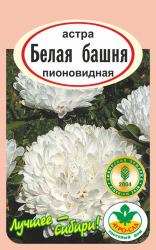 астра БАШНЯ БЕЛАЯ пионовидная / АГРО САД / НОВИНКА !!!